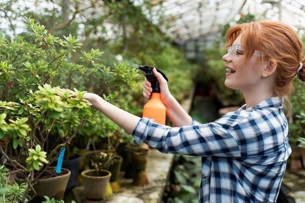 Уход за плодовыми деревьями: ключевые этапы и рекомендации